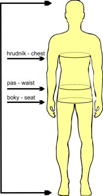 how to measure your figure correctly