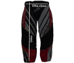 salming_goalkeeper_pants_cz