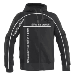 salming_men's_sweatshirt_cz