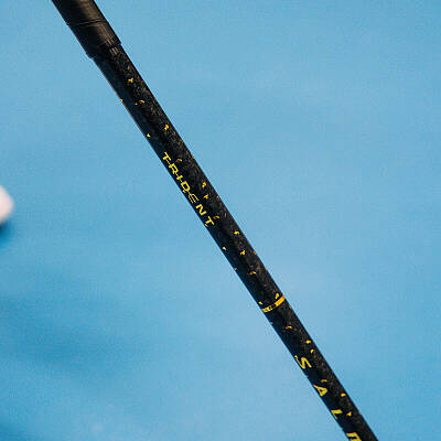 Salming Trident Q-series Carbon Pro 2.0 LTD 29 Black/Gold + čepel zdarma
