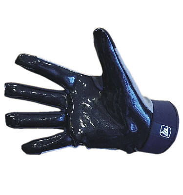 MPS Evo PG brankářské rukavice - Black/Gray